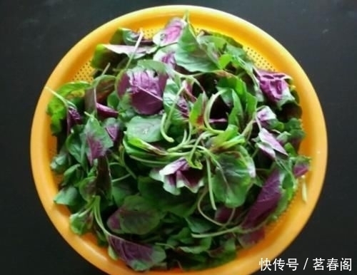 这菜比“泻药”都刮油，每天炒一盘，肚子越吃越瘦，腰围也变细了