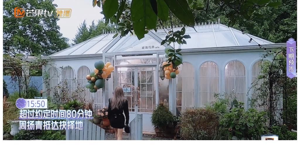 隔壁老樊|周扬青比孟子义还作?故意迟到考验陈瑞丰,张绍刚点评一针见血