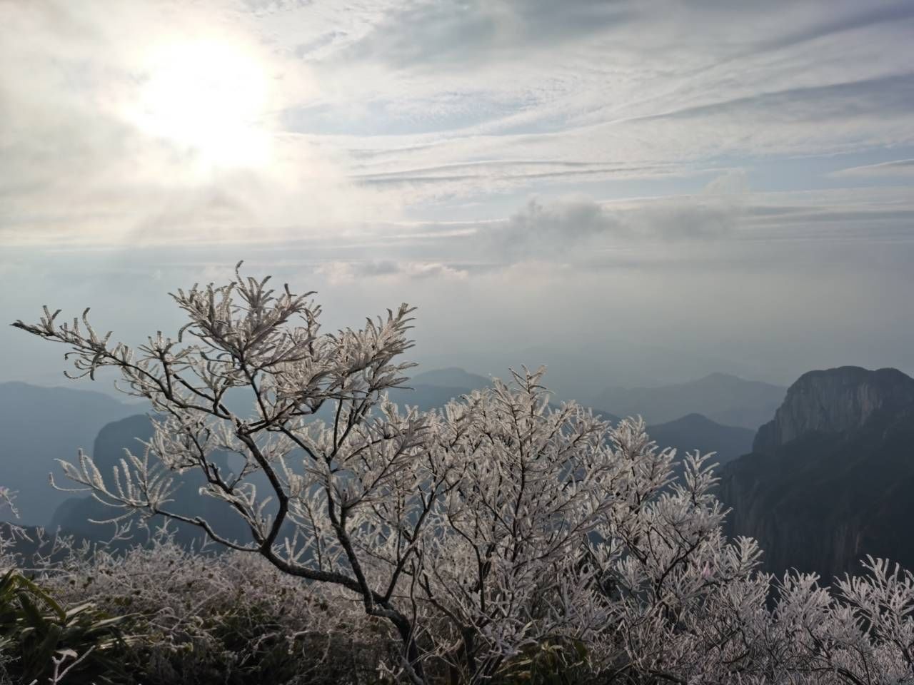 百岗尖|太美了！百岗尖上现雾凇、冰凌美景