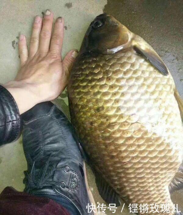 “三分钓技,七分钓位”是真的吗该如何选择