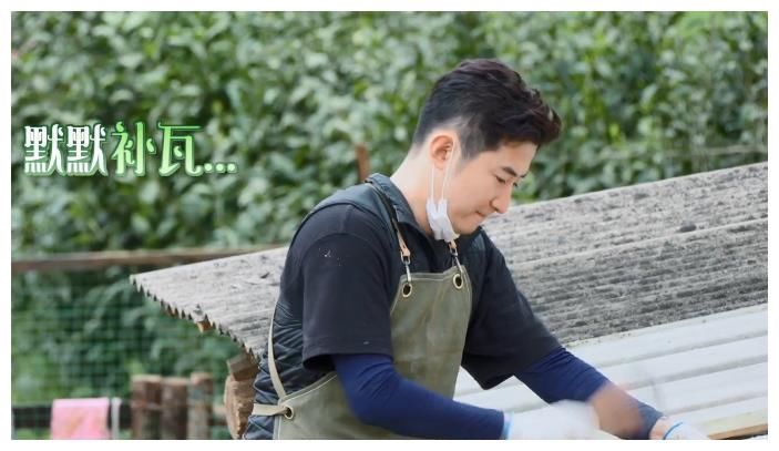 《向往5》迎来最辛劳嘉宾，给凉棚建屋顶，连补3次都漏水