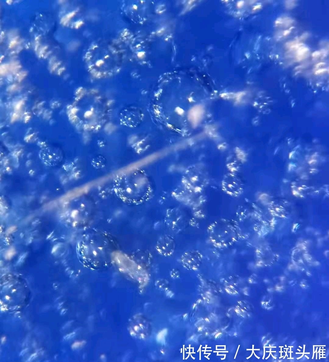 高足碗@元霁蓝釉青花高足碗