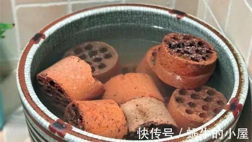 蚂蚁|6种土壤,养花害处大,是黄叶烂根的“罪魁祸首”