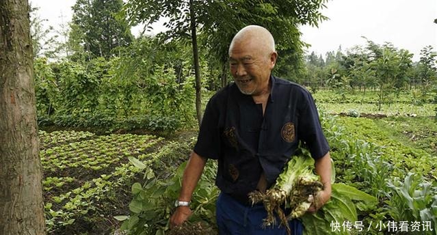 之人|“有福之人六八月,无福之人正腊月”是什么意思呢有道理吗
