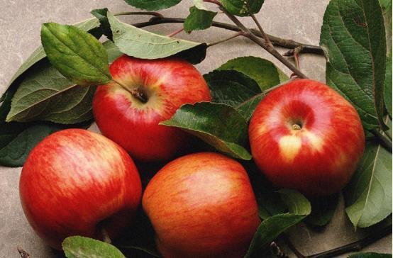 每周|冬季的4种养胃早餐,每周换着做给孩子吃,助消化养护肠胃