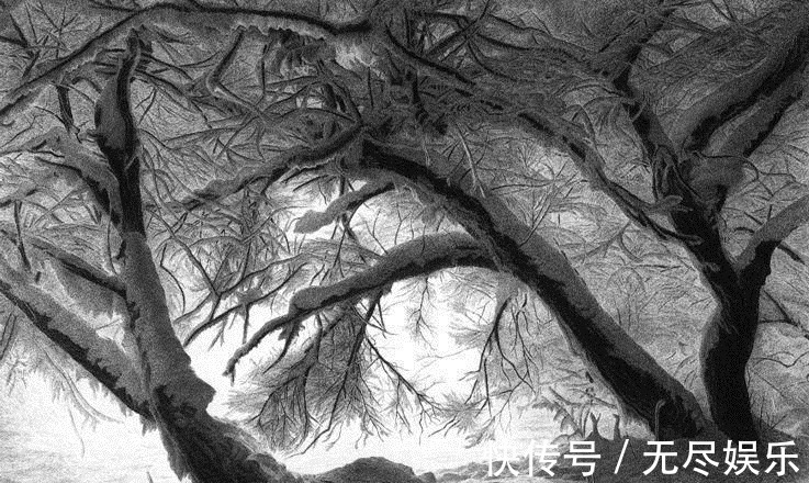 圆珠笔$极品六大钢笔画,我是一张张跪着看完的,简直美爆