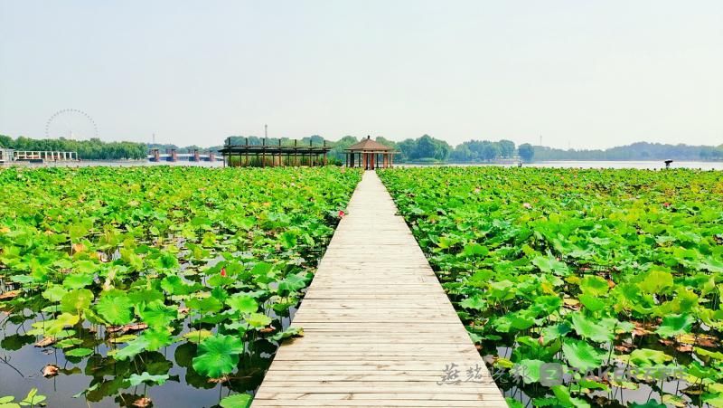 碧绿一般用来形容什么