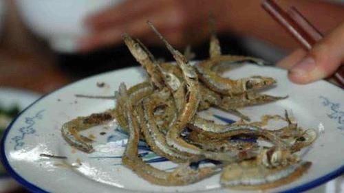 渔民|此鱼嘴巴尖细,很难钓到,聪明的渔民有办法放“针良船”