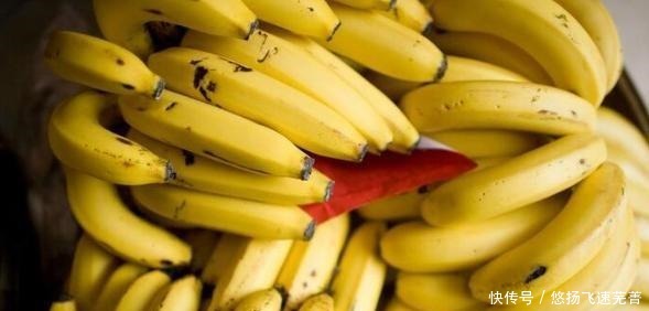 为什么香蕉是人类驯养的成功和失败的水果