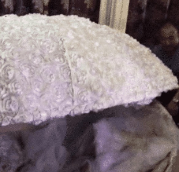 贝壳|抖音“贝壳新娘”火了,打开贝壳的那一秒,网友:新郎真有福气