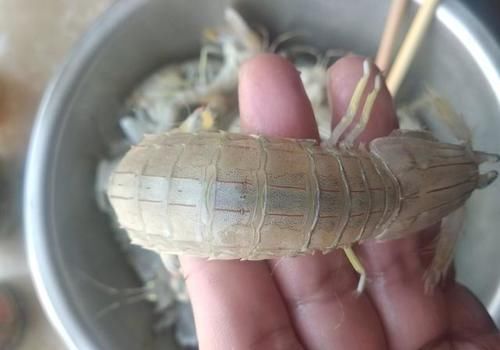 哪里海鲜好吃？