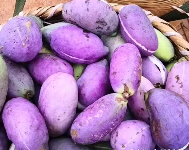 两用|农村漫山遍野的“它”是一种药食两用的水果,一斤20元需订购