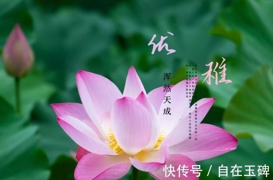 少数人|到了年底，紫气东来，4属相吉星庇佑，机遇多多，生活一顺百顺