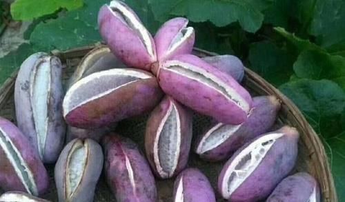 女人爱美，可以坚持吃3种食物，补充营养，滋润肌肤