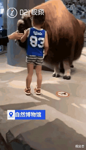 小女孩|熊孩子毁46万元作品,家长叫嚣:小孩吃屎你也吃屎?