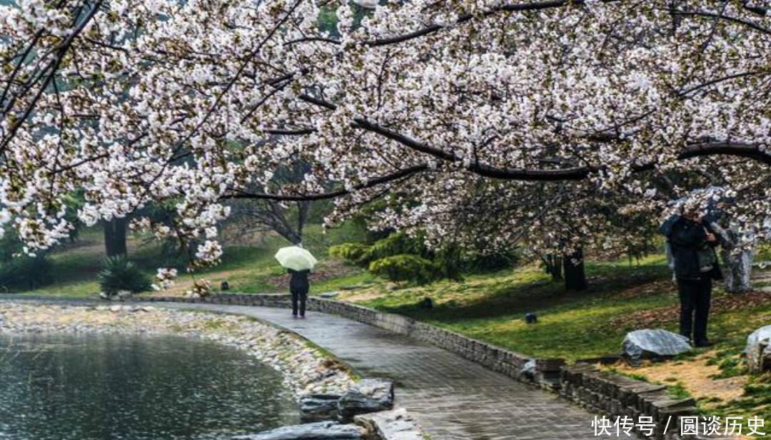 生活|杨万里把生活中的小事写成诗,一首经典的七绝《小雨》,美得惊艳