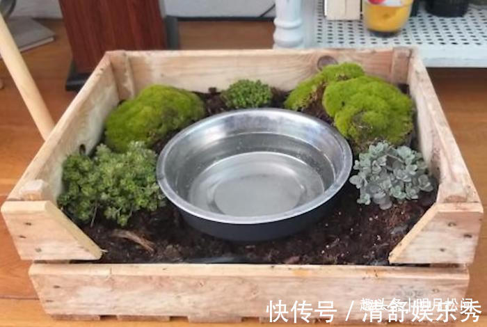 消毒剂|28个天才般的生活技巧,看完又涨知识了