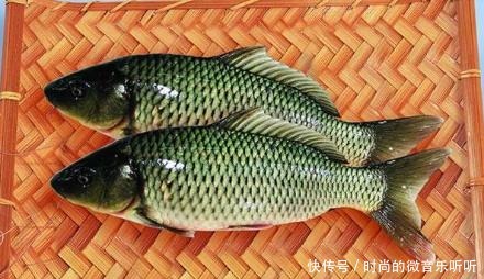 种鱼|公认最好吃的5种鱼,肉质细腻汤味鲜,全吃过的肯定是土豪!