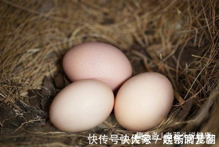 小知识|吃鸡蛋的时候，禁忌两个“不要”，为了身体健康，现在看还不晚