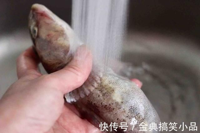 被大家误会最深的1种鱼,一斤只要5元却无人理睬,营养比鲫鱼高