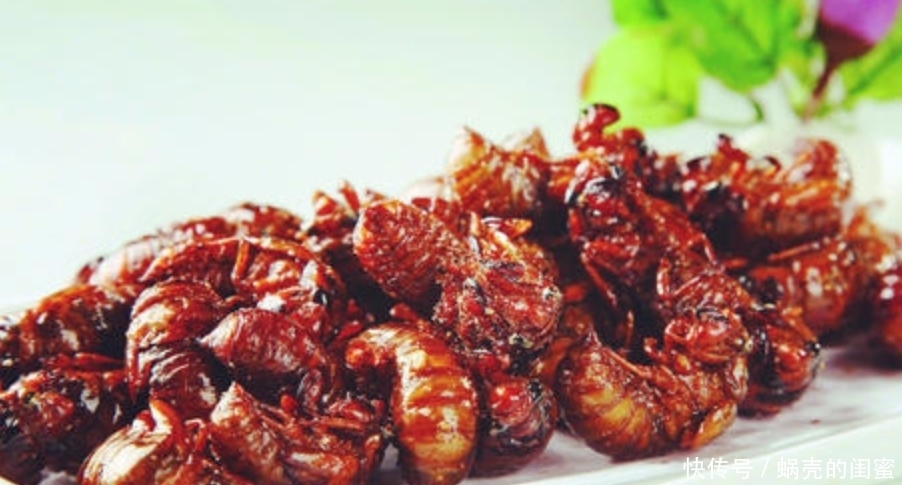 美食|西方人不敢吃的中国美食有哪些?