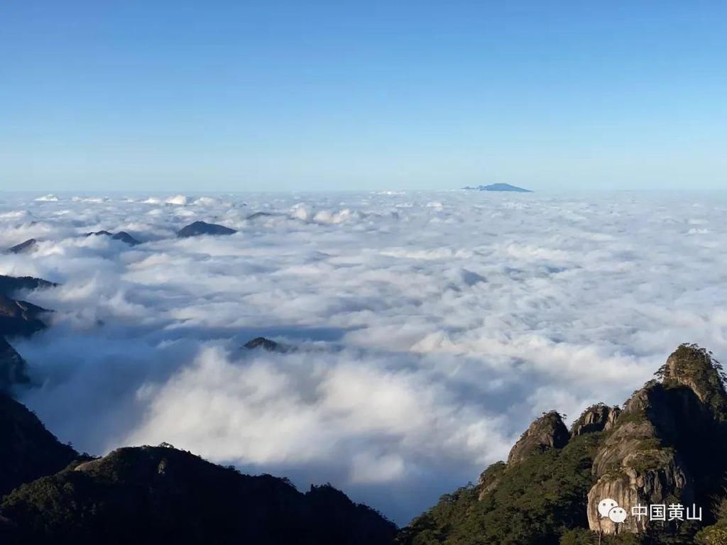 壮观绝美！黄山再现“海”上日出！