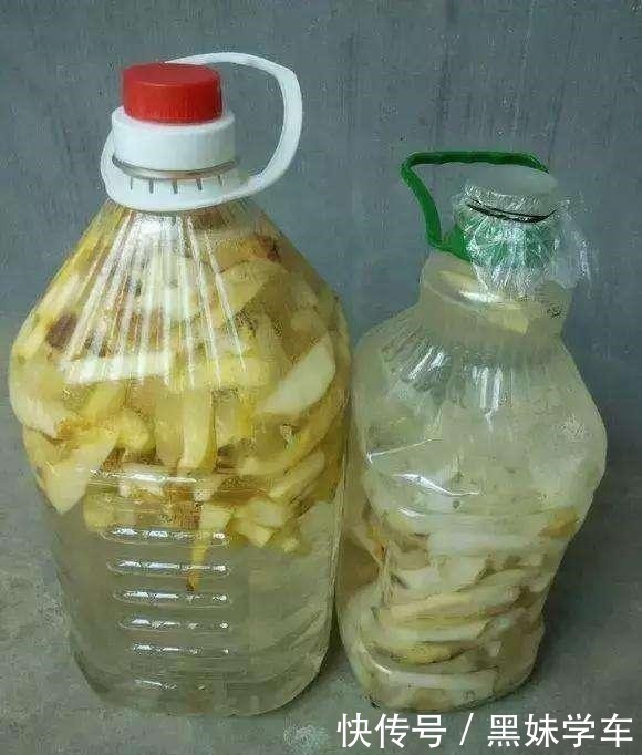 酸碱度|叶子莫名其妙总是黄，问题出在了土壤，加上这2种东西轻松解决！