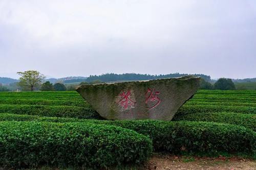  全世界|全世界最大夜明珠！我忍不住摸了一把后……