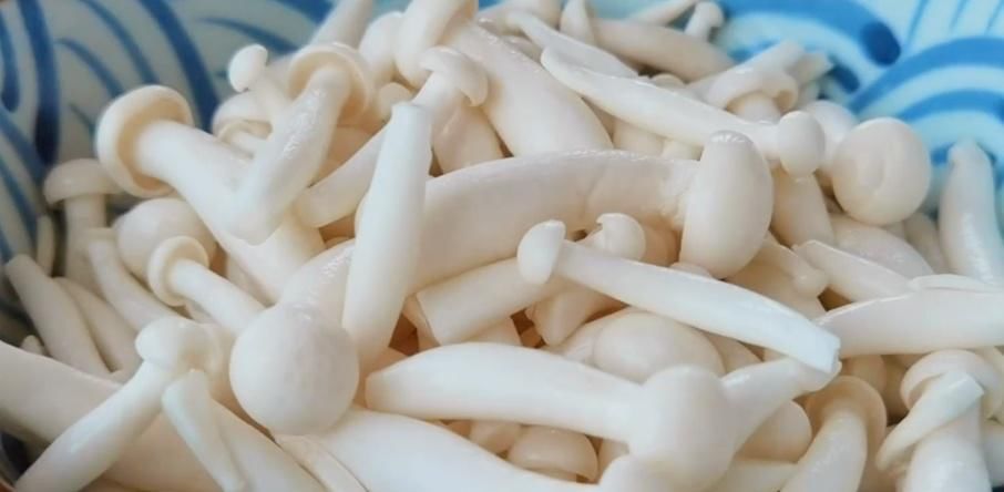 白玉菇|夏天出汗多,常做这菜给孩子吃,营养美味含钙高,孩子常吃个子高