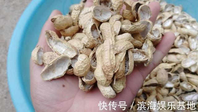 养花|7种“垃圾”不是废物,泡一下水,肥的流油,养花一级棒