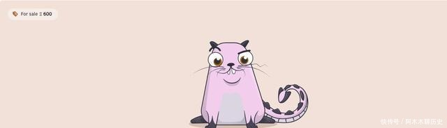 纸质|收藏品的演变从纸质到数字化