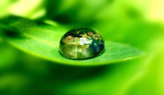 明哲保身&越是深藏不露的人,往往懂得这三条天规,懂一个,就很好!