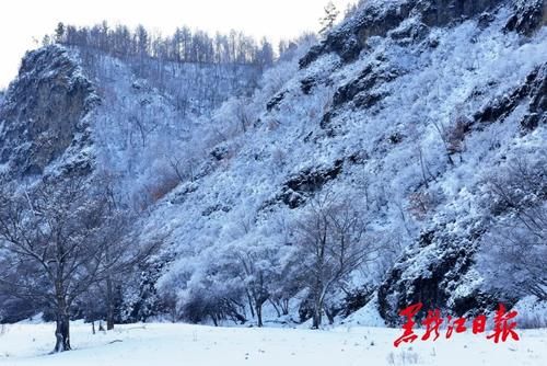 冰雪|沸腾冰雪季 乐游黑龙江｜来呼玛，感受别样冰雪之美！