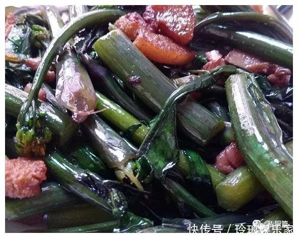 冬天碰到它多买,隔夜排出臭便,便秘消失了,血管变软,越吃越瘦