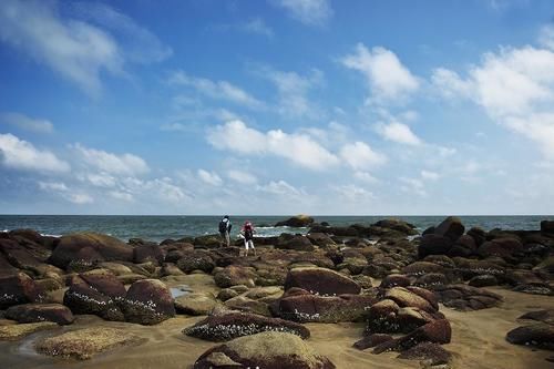 广东一处受欢迎的岛屿，拥有八个海湾，旅游四季皆宜