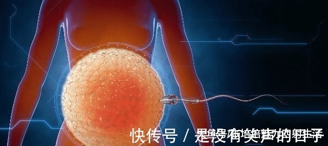 y染色体|为何现在的夫妻,生的多数是男孩三个原因,你知道几个