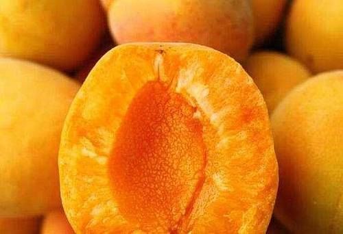 女性常吃此食物，清腸胃排毒素，瘦出小蠻腰，還能緩解口臭