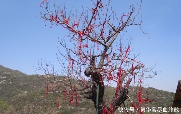 神秘|直击中国最古老的“万佛至尊”,140吨重佛头竟神秘消失600多年