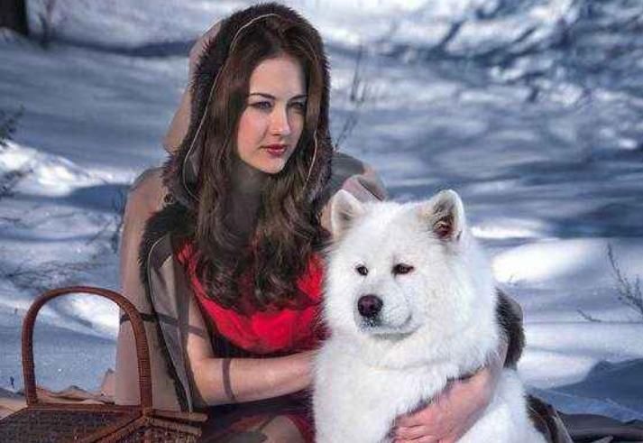 中年|为何零下30多度,俄罗斯大街全是光腿美女游客不愧是战斗民族