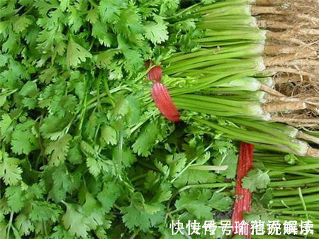 香菜配上它，肚腩没了，腰也不痛了！女人不想满脸皱纹，可以试试