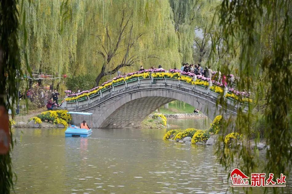 马跑泉|金秋菊展 马跑泉公园户外写生画出绚丽秋天