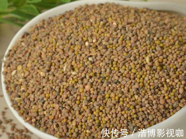 五味子|这4物泡水喝，牛鞭也比不了，男人每天喝1口，肾强精神棒!