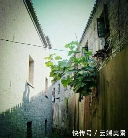 原创散文《碎片》