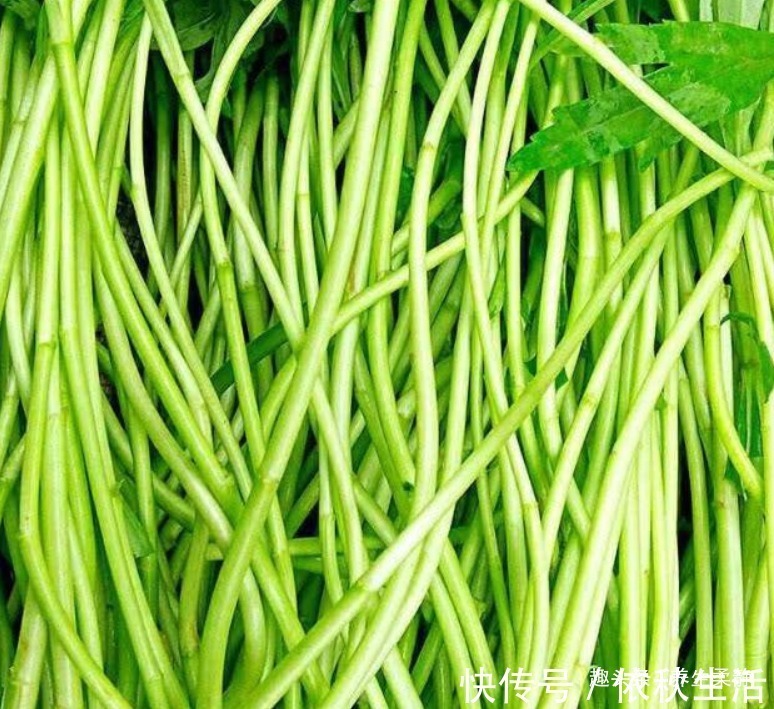 润肤|推荐4种养生食物,每天吃一些,养颜润肤、淡斑去皱!