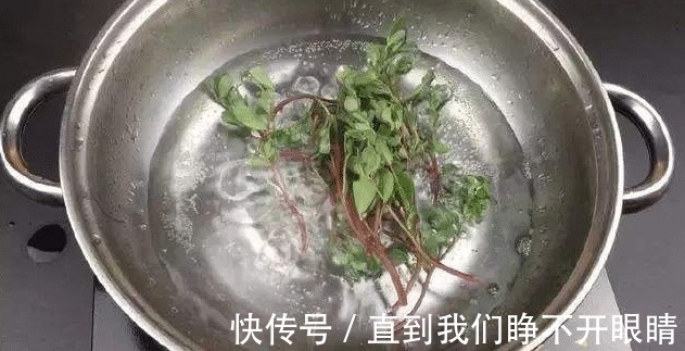 经常用马齿苋煮水喝,不出半个月,4件好事或许会不请自来