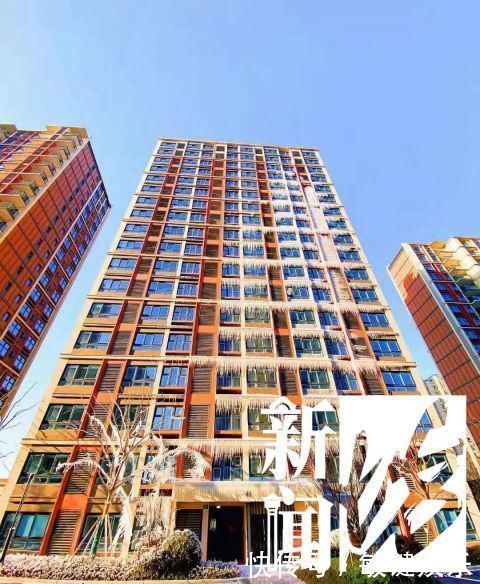 新郎|太拼了!零下7.1℃,新娘穿露背裙在外滩拍婚纱照