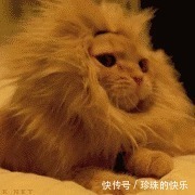 拜年|必存!新年拜年表情包丨第310期热门表情包