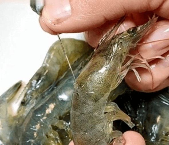 挑虾线别只会用牙签,学渔民这样做,1秒一个,简单易学又实用
