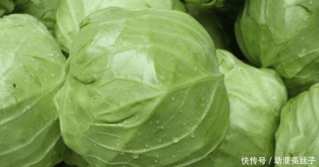 维生素c|这三种包菜千万不要买,白送都不吃,后悔才知道,看完长点心