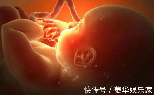 房子|“妈妈,好怀念大房子”孩子在肚子里有记忆吗六岁儿子的真话